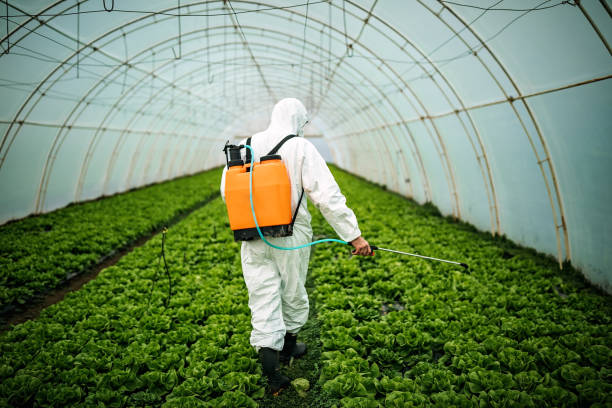 Best Emergency Pest Control  in West Glendive, MT