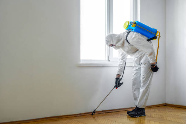 Reliable West Glendive, MT Pest Control Solutions
