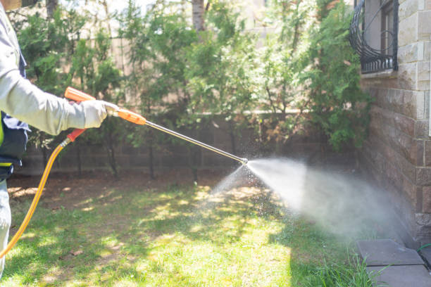 Best Affordable Pest Control Services  in West Glendive, MT
