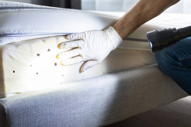 Best Pest Prevention Services  in West Glendive, MT