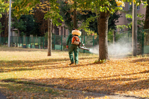 Reliable West Glendive, MT Pest Control Solutions