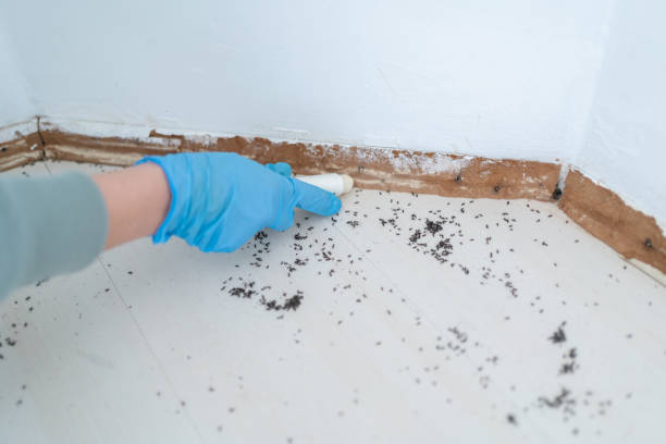 Best Emergency Pest Control  in West Glendive, MT
